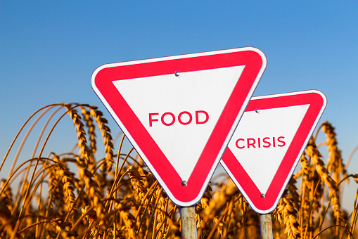 Food crisis concept. Two red road signs. Defocus blank empty triangle red warning road sign on nature background. Hunger problems. Human disaster. Economy. World sanctions. Out of focus.