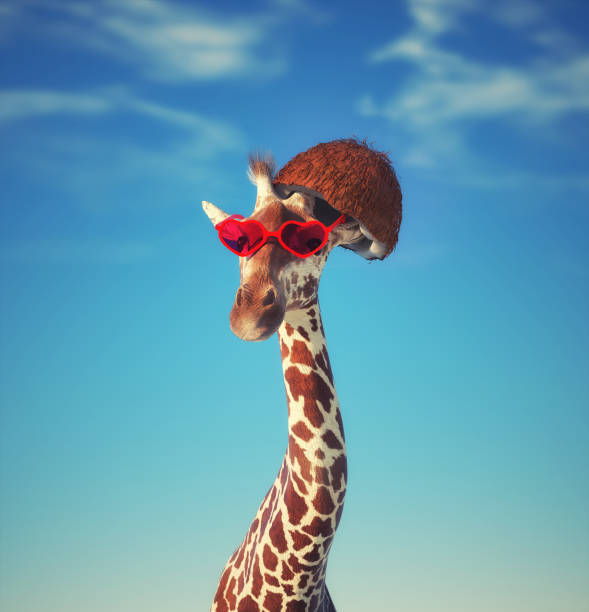 funny close up of a colorful giraffe head with blue sky as background color