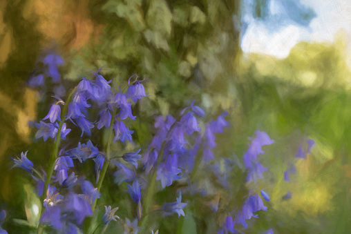 Digital painting of brightly colored sunlit purple bluebell flowers against a natural woodland background, using a shallow depth of field.