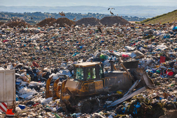 istock Heavy machinery shredding garbage in an open air landfill. Pollution 1405636069