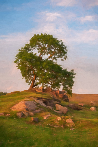 Digital painting of a lone tree at sunset near Ramshaw Rocks on The Roaches in the Peak District National Park, Staffordshire, UK