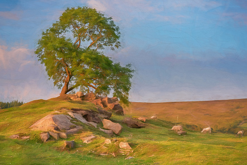 Digital painting of a lone tree at sunset near Ramshaw Rocks on The Roaches in the Peak District National Park, Staffordshire, UK