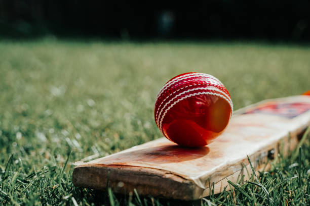 istock Red Cricket ball and bat 1405638160