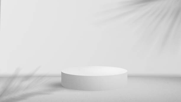 istock Shadows leaves overlay on backgrounds and frame mock up 1405641422