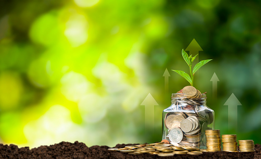 Gold coins in glass jar with tree growing on top, investment profit and dividend money from saving concept, money growth concept, saving money and loan for business investment concept.