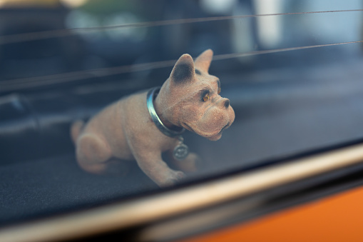 The dog mascot nodding on a shelf in an old car behind the window