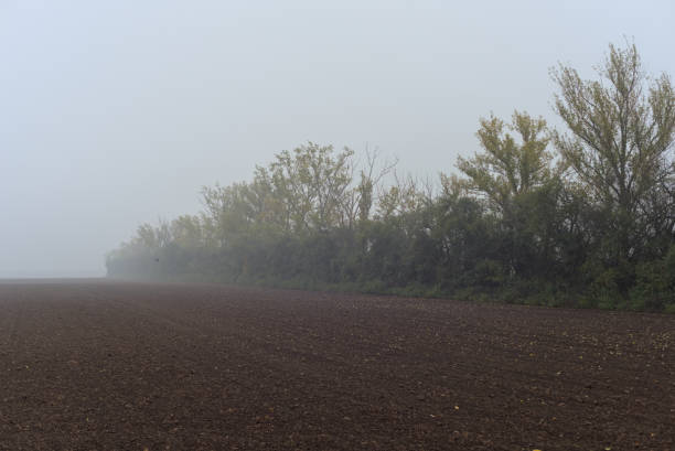 istock Nebelige Herbstlandschaft  10 1405645281