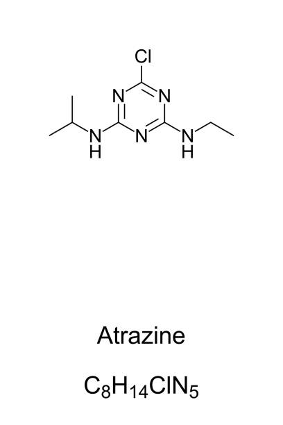 Atrazin 30+ Herbicide Corn Stock Illustrations, Royalty-Free Vector Graphics ...