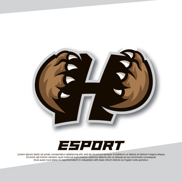 ilustrações de stock, clip art, desenhos animados e ícones de claw esport logo letter h, tiger esport logo, bear claw esport, fox esport logo, coyote esport logo - paw print paw shield vector