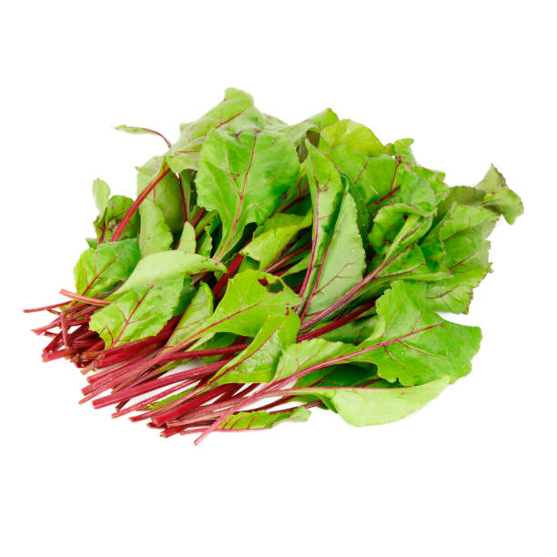 istock Green fresh leaves of beetroot on a white background for salad. 1405646081