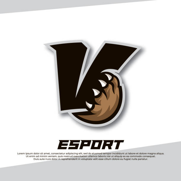 klaue esport logo buchstabe v, tiger esport logo, bär klaue esport, fox esport logo, coyote esport logo - paw print paw shield vector stock-grafiken, -clipart, -cartoons und -symbole