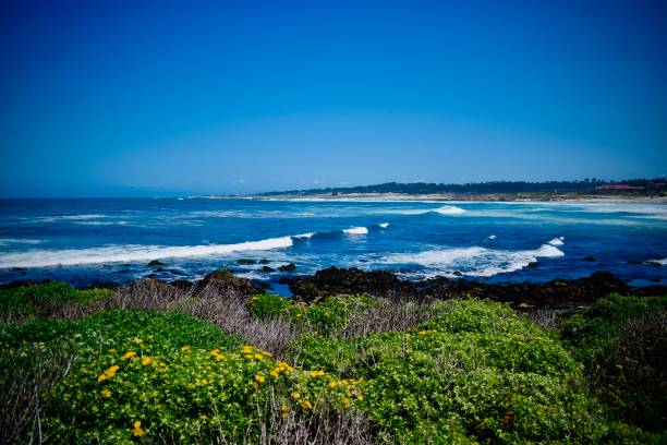 istock The Beauty of Pebble Beach 1405646960