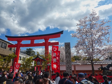 Japan, Kyoto Prefecture, Fushimi Inari  Taisha - April, 2019: Crowd of international visitors and blossoming cherry tree at the entrance to Fushimi Inari shinto shrine on a mountain near Kyoto.