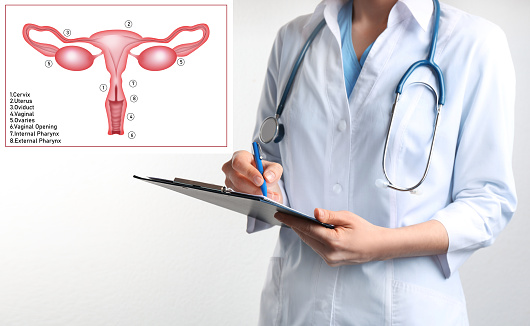 Doctor with clipboard and illustration of female reproductive system on white background, closeup. Gynecological care