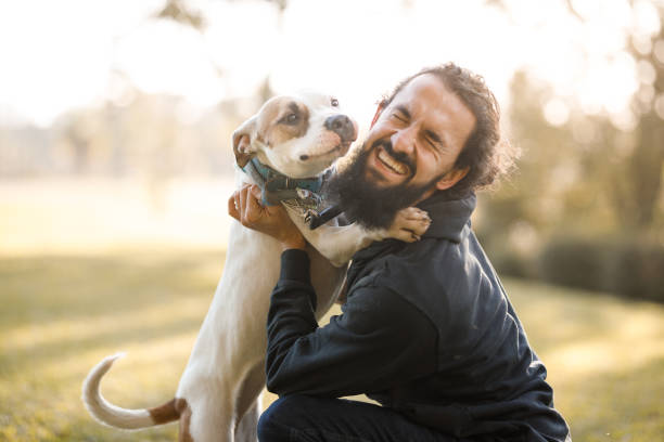 istock Happy man embracing a young pitbull 1405648147