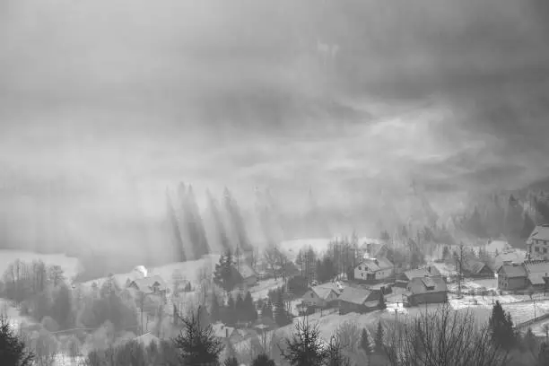 Black and white photo of sunrise over the Polish village of Koniakow with forest vegetation through which the sun rays pass in the morning mist.