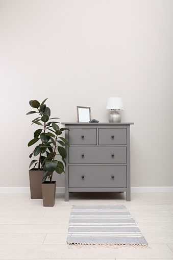 Stylish room interior with grey rug, chest of drawers and plants