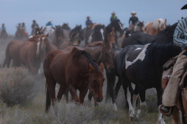 istock Great American Horse Drive 2022 1405651192