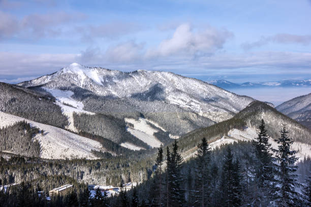 istock winter mountain forest snow landscape 1405652565