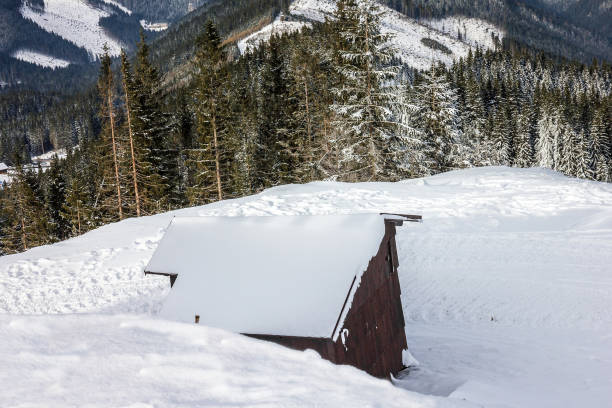 istock Mountain scenery, winter Tatry landscape, forest, Slovakia 1405652568