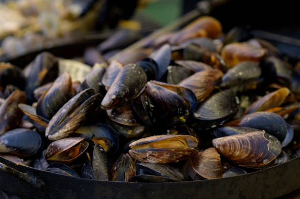 istock Cooked fried mussels with lemon. Street seefood 1405654270