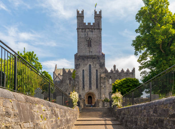 istock Old St Mary Cathedral in Limerick 1405657945