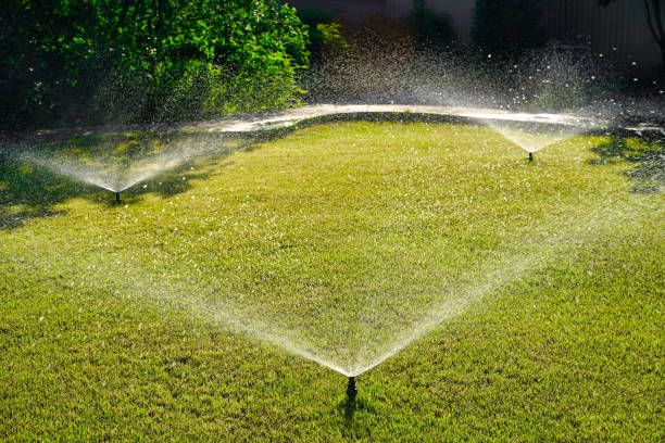 istock Automatic Garden Sprinkler. Backyard Watering Technology for green lawn 1405657957