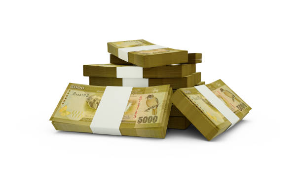 istock 3d rendering of Stack of 5000 Sri Lankan rupee notes. bundles of Sri Lankan currency notes isolated on white background 1405658012