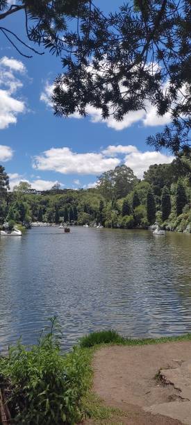 istock Black lake in Gramado 1405659661