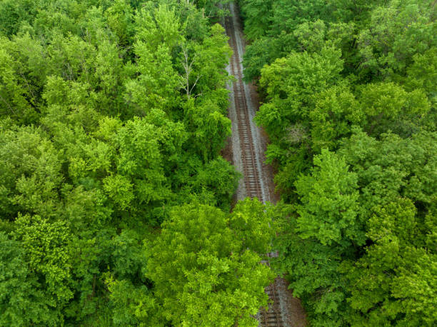 istock Train Track in the Forest Aerial 1405665021