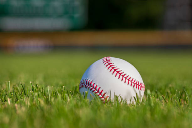 Low angle selective focus view of a baseball in grass at a ball park Low angle selective focus view of a baseball in grass with outfield fence in the background baseball diamond photos stock pictures, royalty-free photos & images