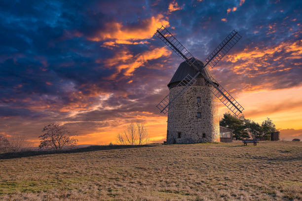 A windmill in the field in the sunset.