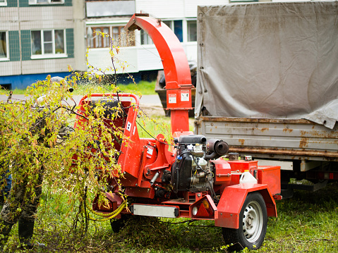 Mobile wood and branch shredder in the city park. Agricultural machinery, wood chipping machine