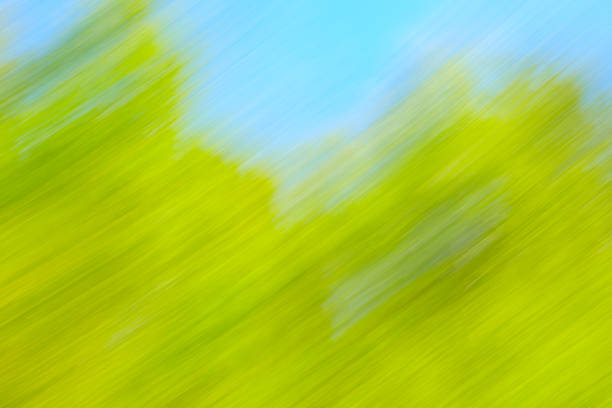 Abstract motion blur spring summer green forest sunny texture background