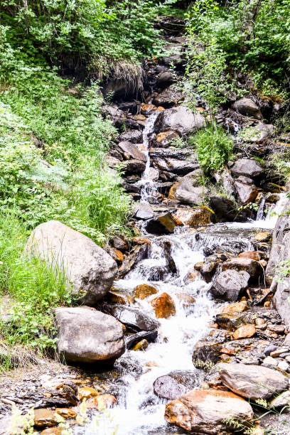 istock stream in forest, photo as a background 1405684861