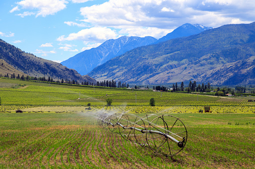 Wheel line sprinkler irrigation system in Cawston, British Columbia, Canada.