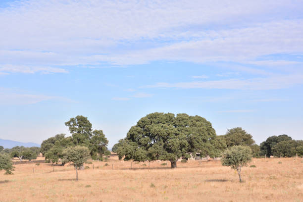 istock European natural countryside 1405685063