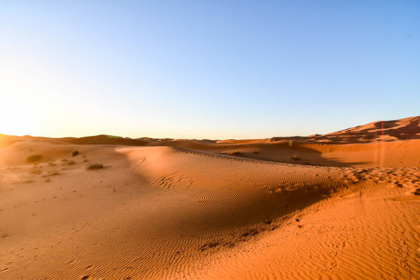 istock sunset in the desert, photo as background 1405685563