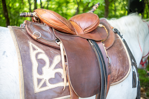 White horse body with a beautiful hand decorated natural calf leather saddle on it.