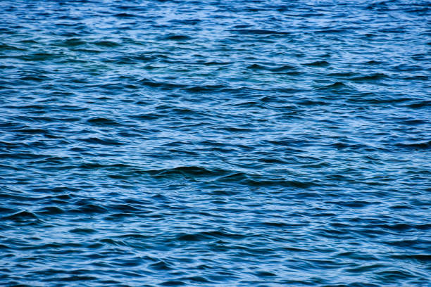 istock ripples on surface of water, photo as a background 1405686012