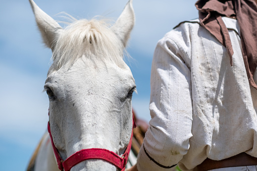 A white horse with a rider next to it with a rough white shirt made of natural fabric