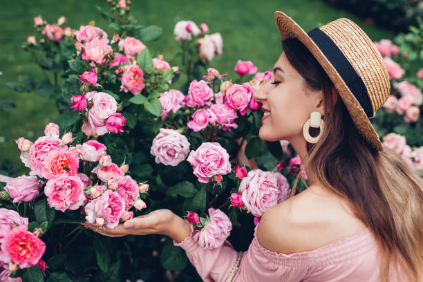 Young happy woman enjoys blooming pink roses flowers in summer garden. Gardener in hat smells blossom in park stock photo