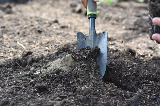 istock plant hands earth cucumber tomatoes garden ecology bio 1405689799