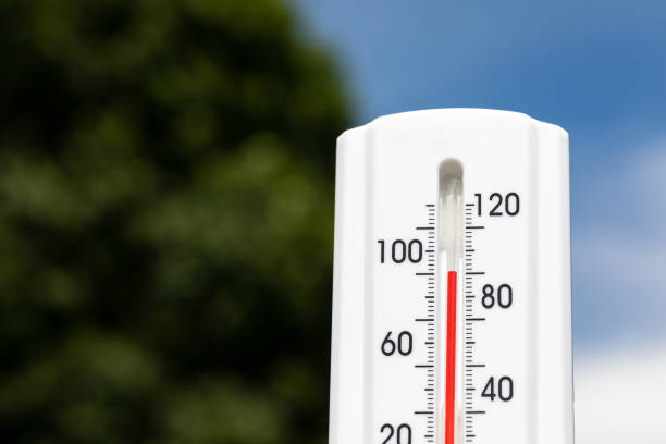 Outdoor thermometer in the sun during heatwave with trees and sky in background. Hot weather, high temperature and heat warning concept. stock photo