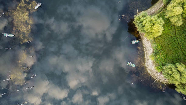 istock Aerial View of a Pond 1405690868