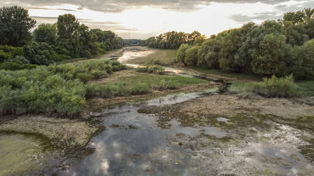 istock Aerial View of a Pond 1405690873