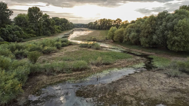 istock Aerial View of a Pond 1405690877