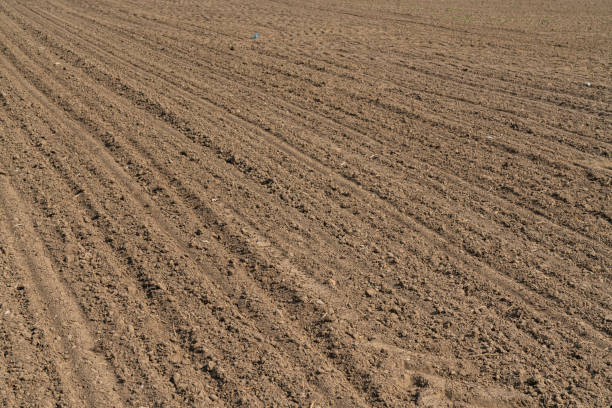 istock Freshly plowed spring field. For planting vegetable seeds. 1405691511