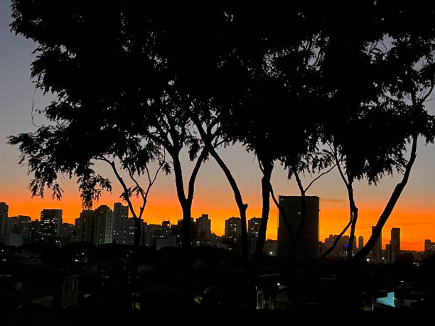 Sao Paulo, Brazil, winter time sunset.