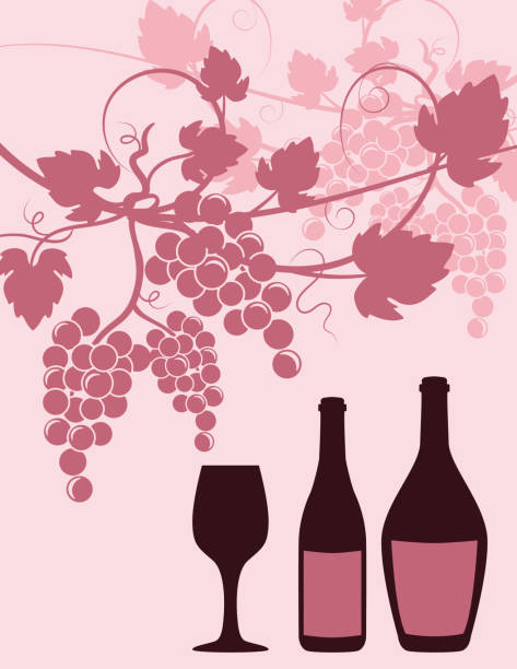 ilustrações de stock, clip art, desenhos animados e ícones de grapevine wine background template - silhouette wine retro revival wine bottle